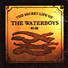 The Secret Life Of The Waterboys 1981-1985(1994)