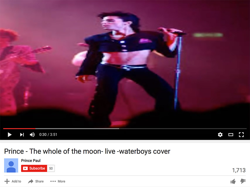 Prince's cover of Whole of the Moon