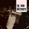 The Waterboys(2002)